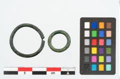 Foto von Bronzering (NHMW-PRAE-026150)